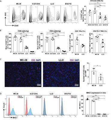 Abscopal Effects of Local Radiotherapy Are Dependent on Tumor Immunogenicity